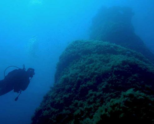 buceo en Menorca, diving in Menorca