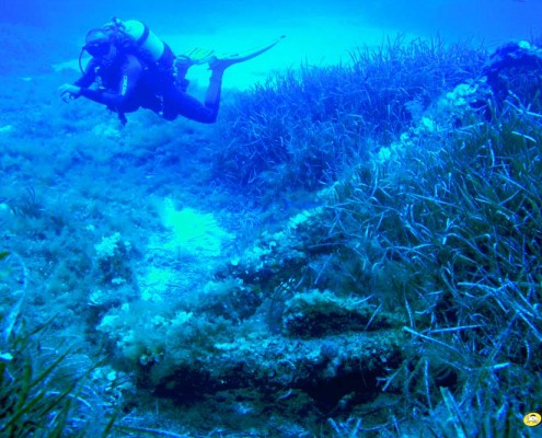 buceo en Menorca, diving in Menorca.